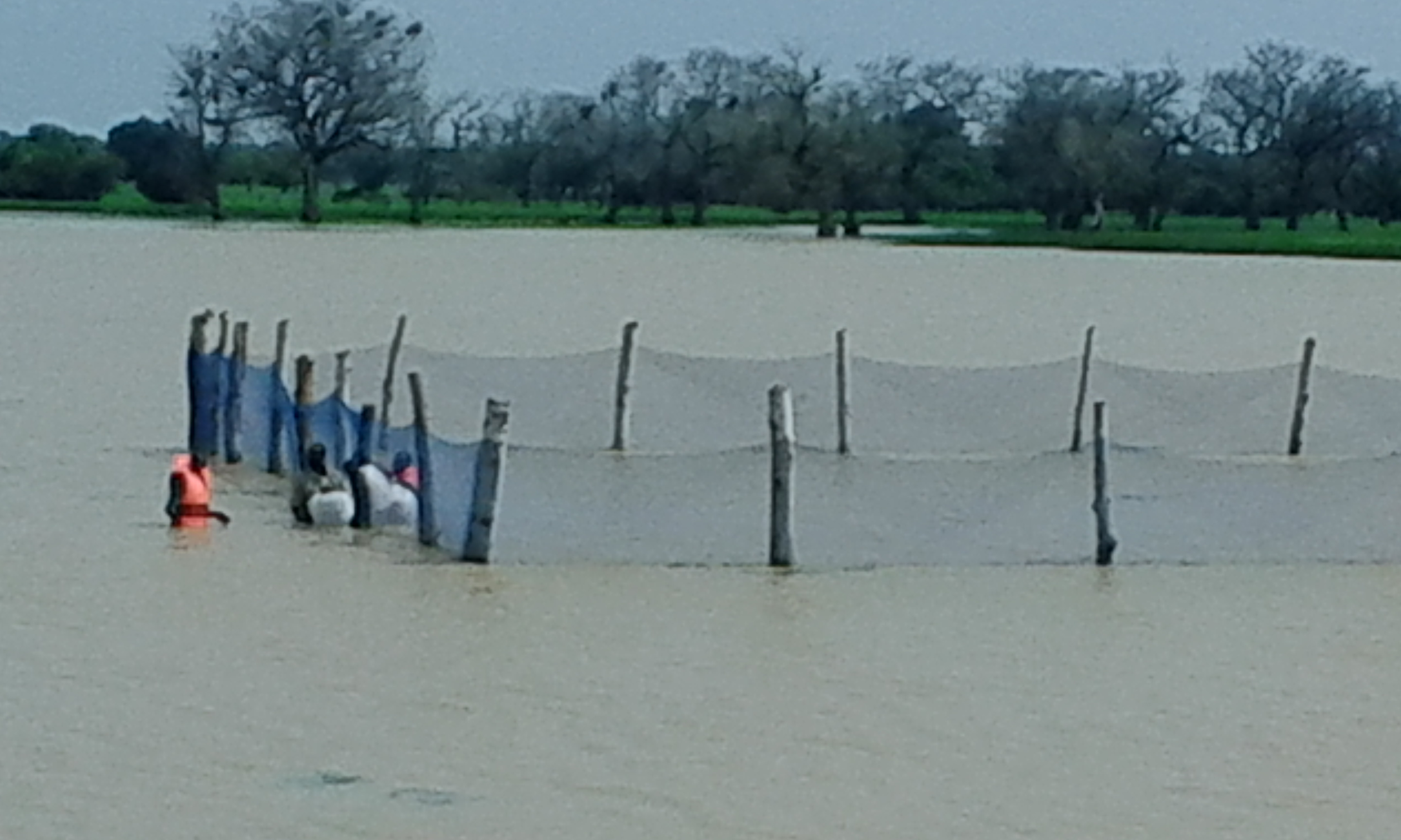 Enclos aquacole de Yaba.